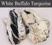 White buffalo Turquoise