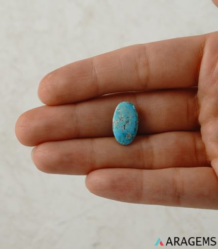 Persian turquoise cabochon shown on hand to display real-life size and color tone.T8 | Aragems