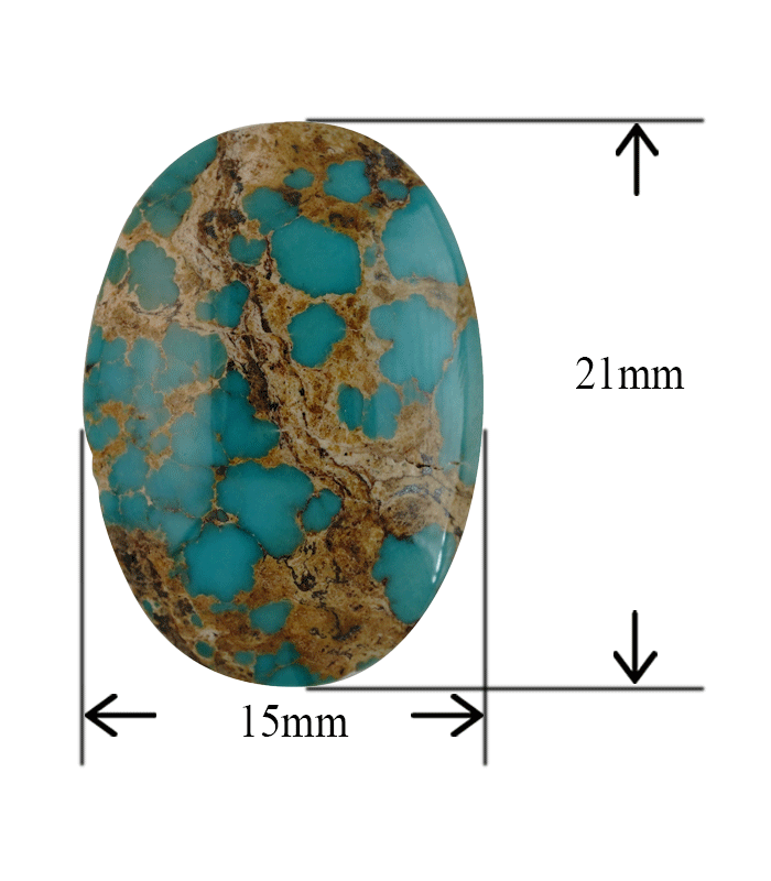 Natural Neyshabur Turquoise Cabochon with Spiderweb Matrix – Aragems