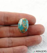 Natural Persian Neyshabur Turquoise Cabochon with Spiderweb Matrix – Aragems