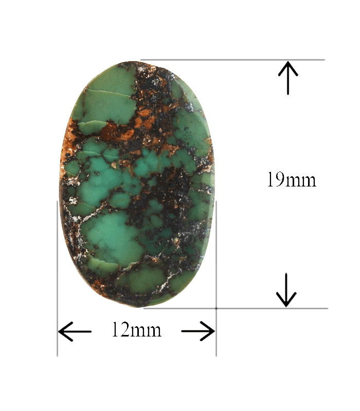 Front view of green Persian turquoise cabochon with size measurements displayed in millimeters.t19