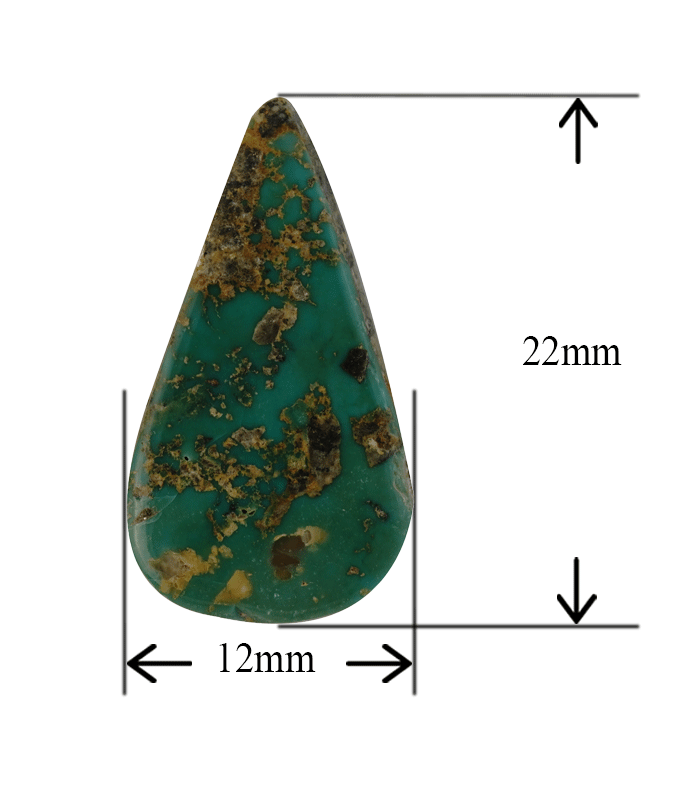 Neyshabur turquoise cabochon with size measurement in millimeters.t15 | Aragems