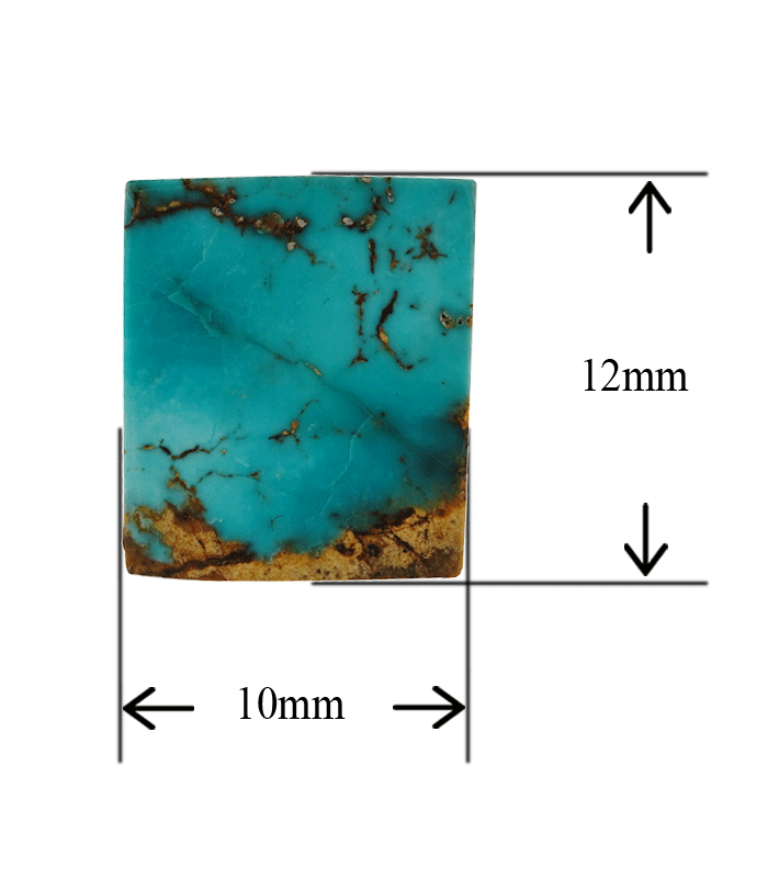 Front view of Persian turquoise cabochon with size measurement in millimeters.t17
