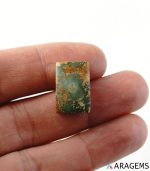 Front view of Iranian turquoise cabochon with 12×19 mm size measurement.T18 | Aragems