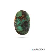 green Neyshabur Persian turquoise cabochon showing black and golden matrix patterns.t19