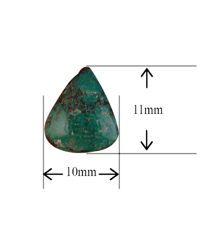 Front view of green Iranian turquoise cabochon with 10×11 mm size measurement.