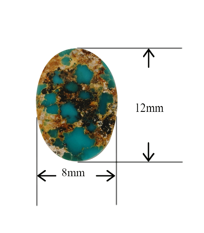 Front view of Persian turquoise cabochon with size measurement displayed in millimeters.t24