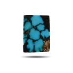blue Persian turquoise cabochon with bold black spiderweb matrixt25-Aragems