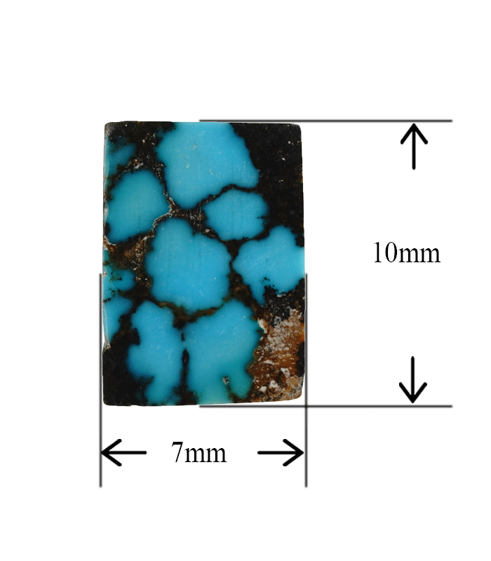 Front view of blue Persian turquoise cabochon with size shown in millimeters.t25-Aragems