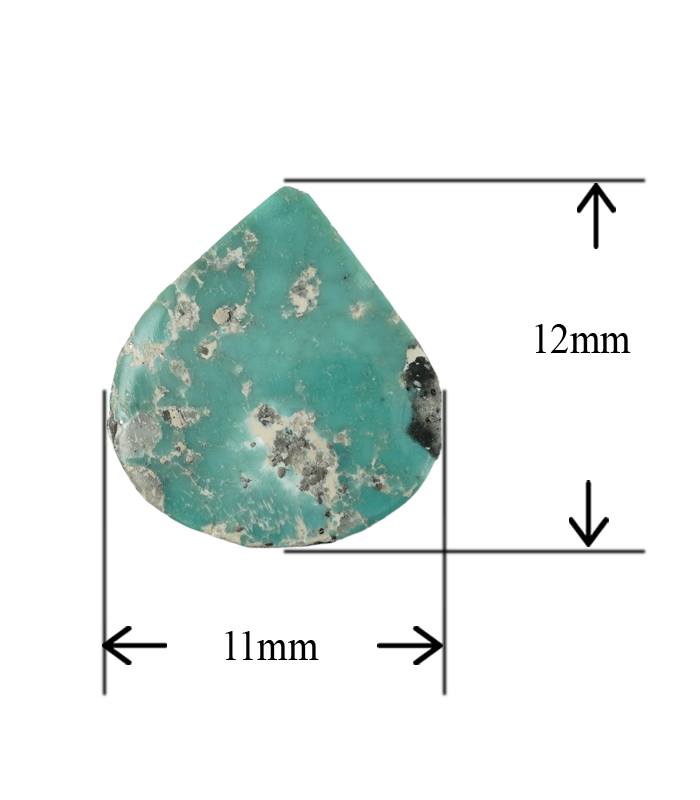 Front view of Iranian turquoise cabochon with millimeter size measurement displayed.t31