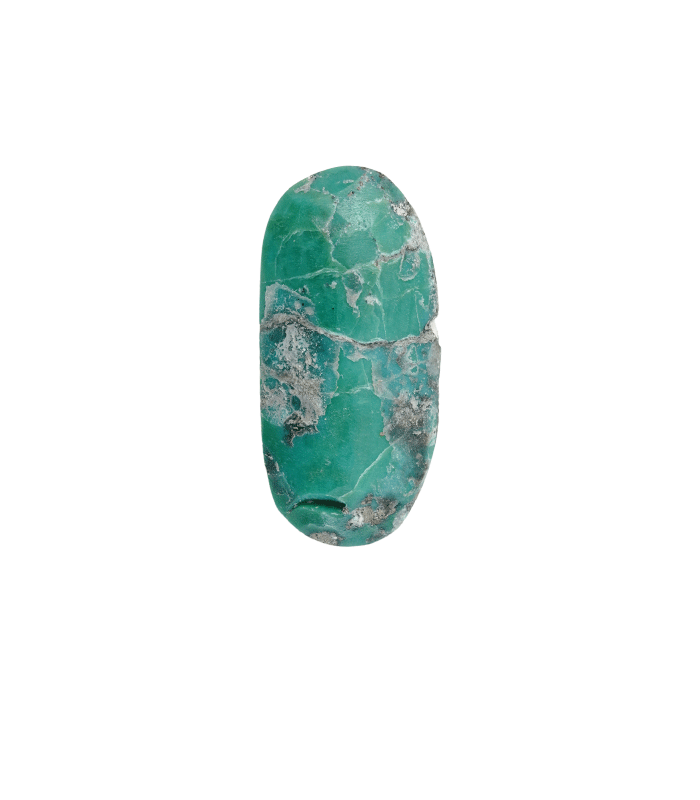 Natural Kerman turquoise oval cabochon detail on transparent background showing speckled matrix - T39
