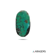 Natural green Kerman turquoise oval cabochon with dark web matrix and pyrite spots, front view - T49