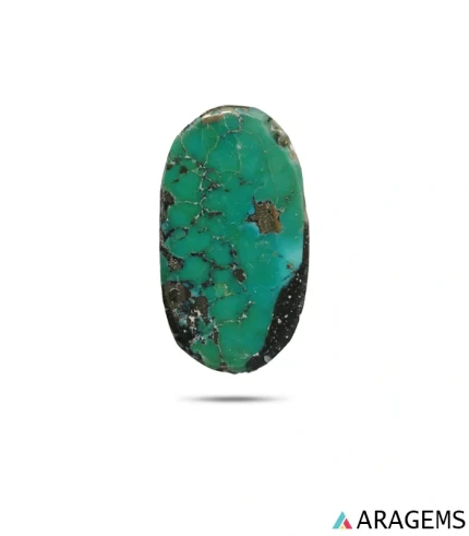 Natural green Kerman turquoise oval cabochon with dark web matrix and pyrite spots, front view - T49