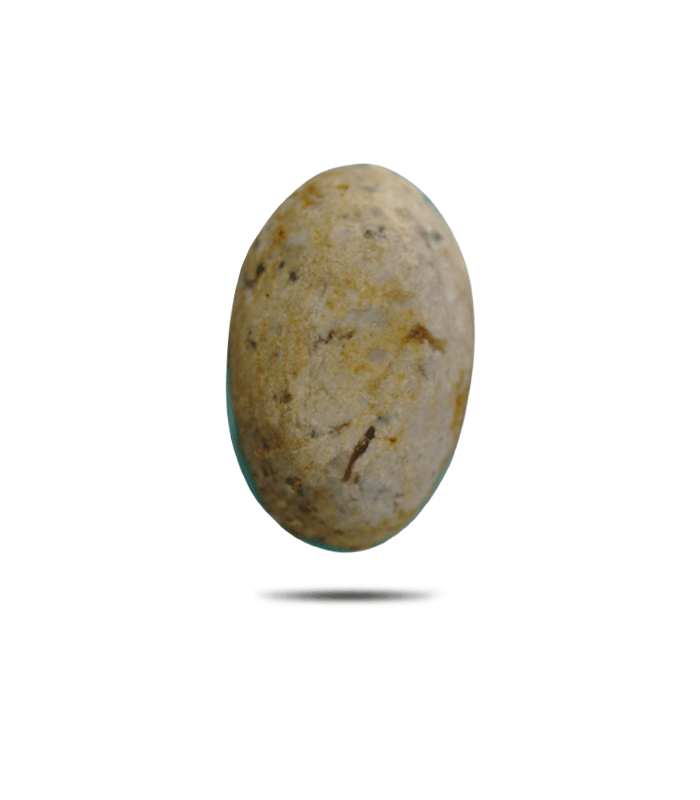 Back view of untreated Neyshabur turquoise cabochon showing tan natural host rock - T48